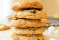Gooey Chocolate Chip Marshmallow Cookies