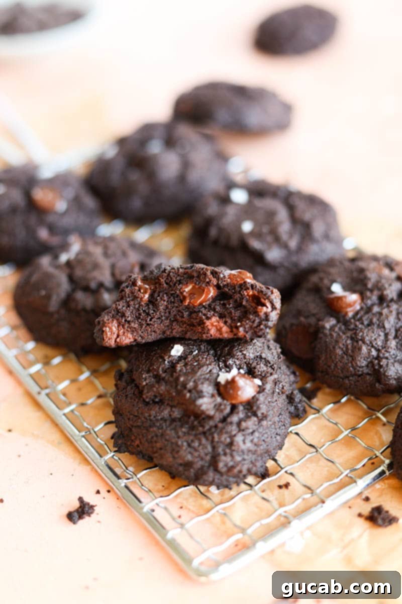 15 Decadent Cacao Delights 3 a stack of perfectly baked, rich chocolate cookies, featuring visible chocolate chips and a tender crumb
