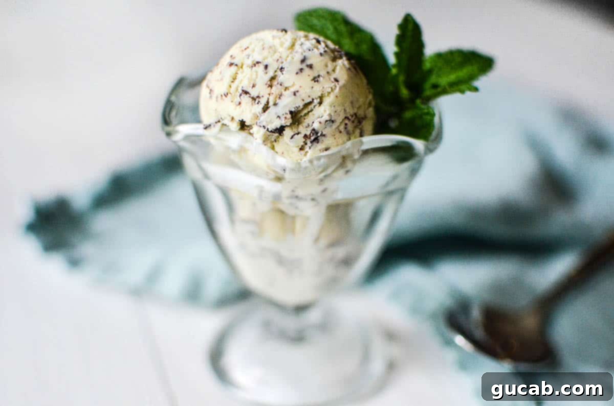 21 Must-Try Cuisinart Ice Cream Maker Recipes 12 a glass of mint chip ice cream