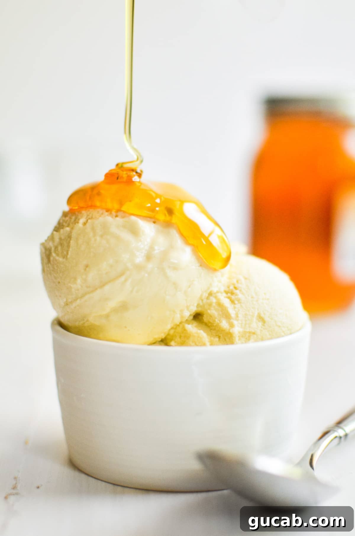 21 Must-Try Cuisinart Ice Cream Maker Recipes 13 ice cream with honey drizzled on top
