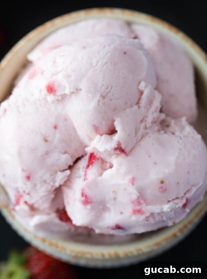 21 Must-Try Cuisinart Ice Cream Maker Recipes 15 a bowl of strawberry ice cream