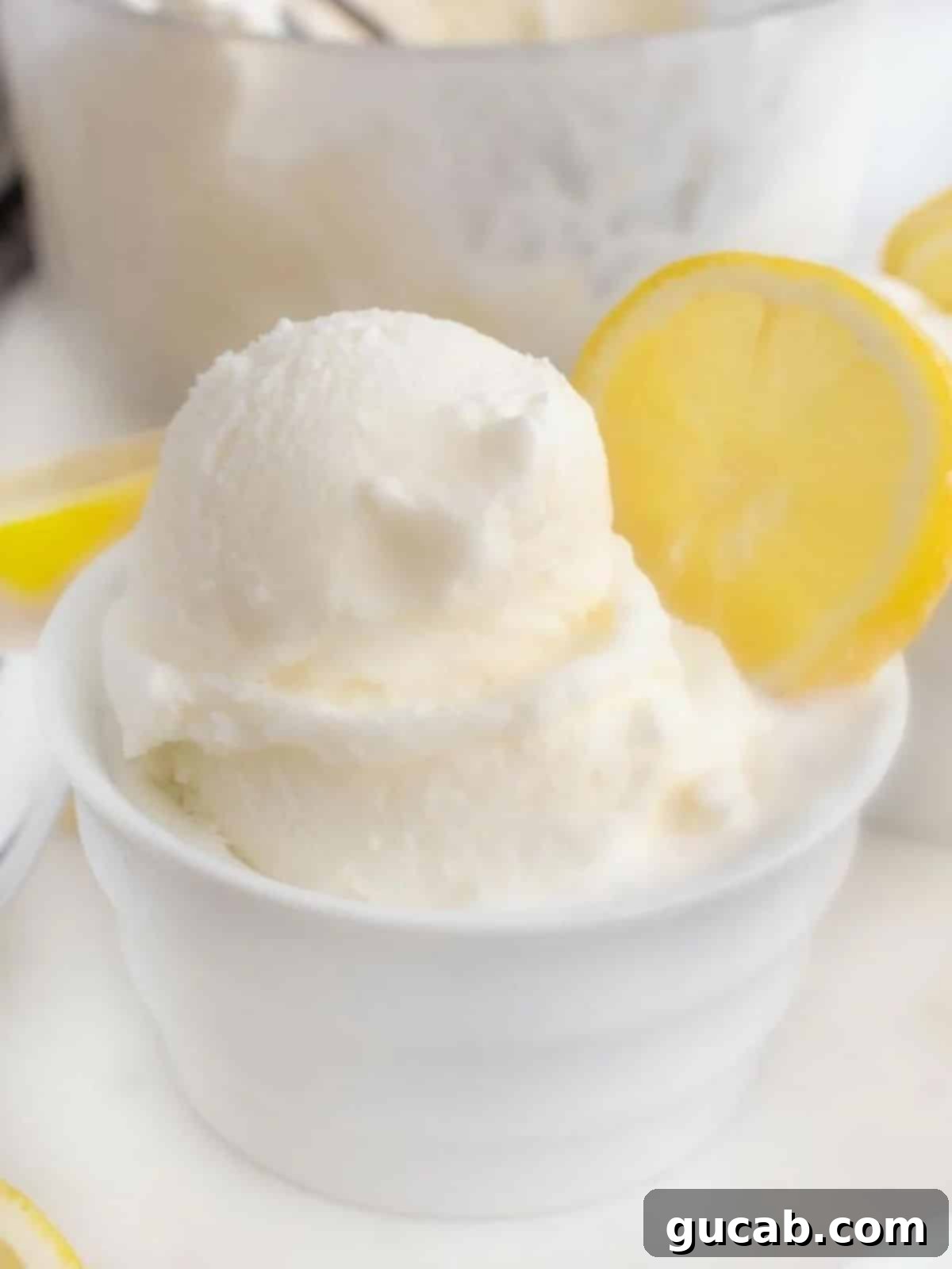 21 Must-Try Cuisinart Ice Cream Maker Recipes 16 a bowl of lemon gelato