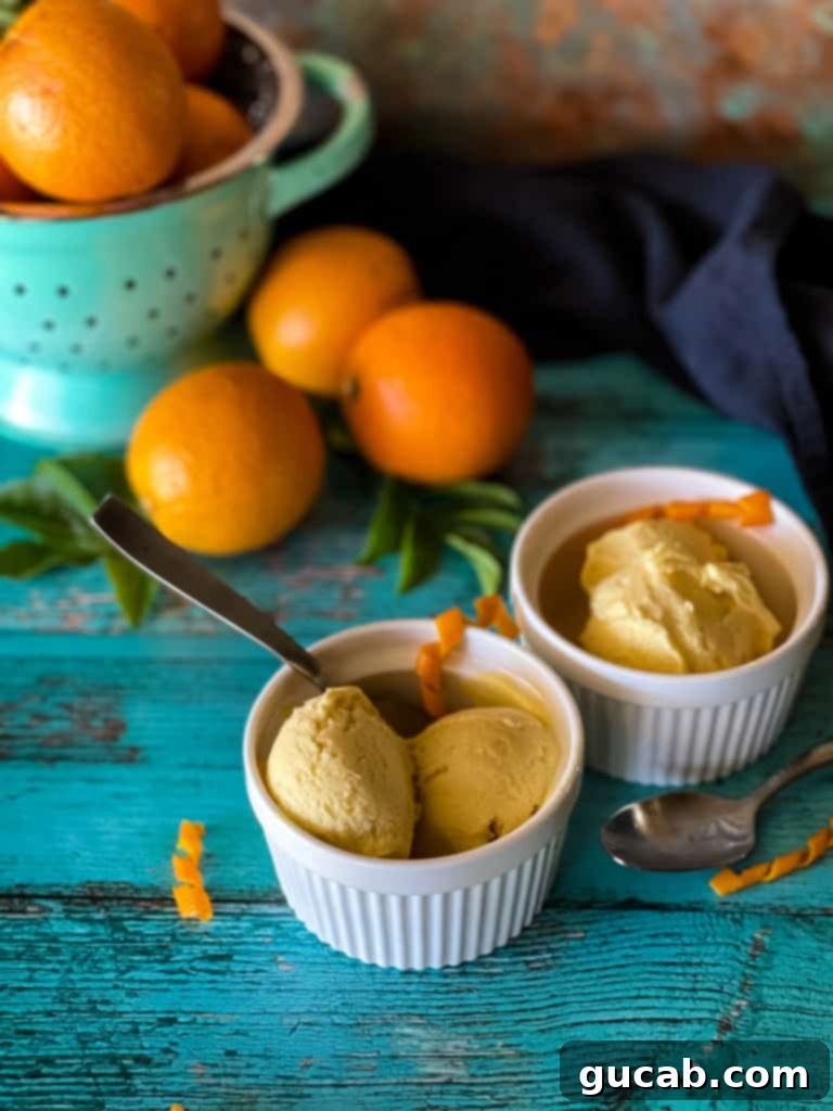 21 Must-Try Cuisinart Ice Cream Maker Recipes 17 a cup of orange creamsicle ice cream
