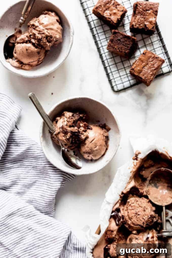 21 Must-Try Cuisinart Ice Cream Maker Recipes 19 two bowls of chocolate ice cream next to brownies
