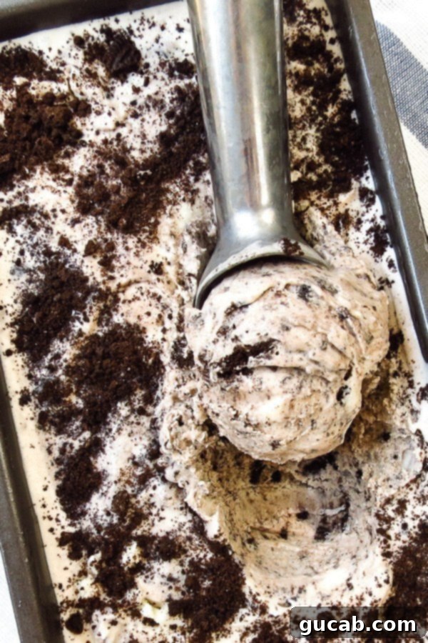 21 Must-Try Cuisinart Ice Cream Maker Recipes 20 cookies and cream ice cream with a scoop in it