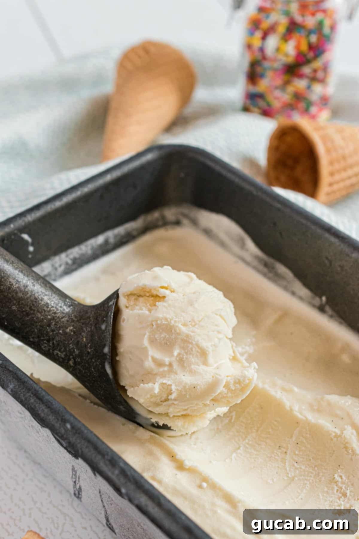 21 Must-Try Cuisinart Ice Cream Maker Recipes 21 a scoop of vanilla ice cream