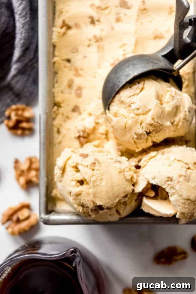 21 Must-Try Cuisinart Ice Cream Maker Recipes 22 a scoop of maple walnut ice cream