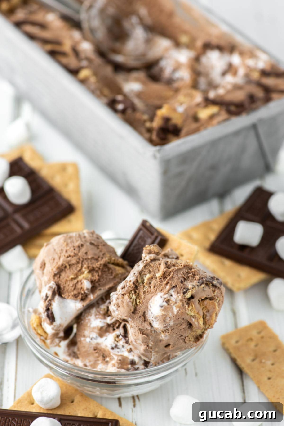 21 Must-Try Cuisinart Ice Cream Maker Recipes 4 a bowl of smores ice cream