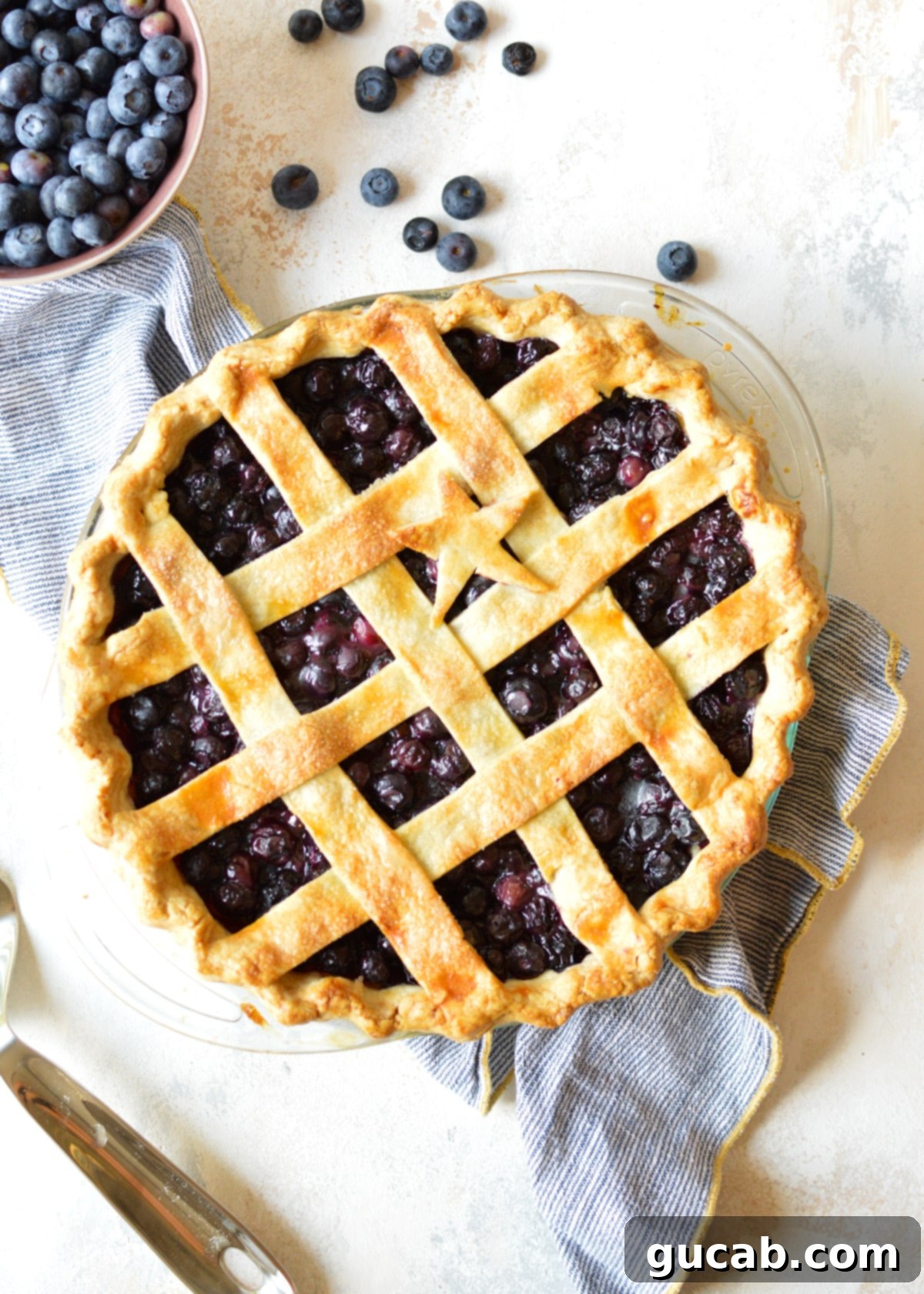 A beautifully baked gluten-free blueberry pie with a golden, crimped crust, showcasing its vibrant purple filling. Perfect for a summer dessert.