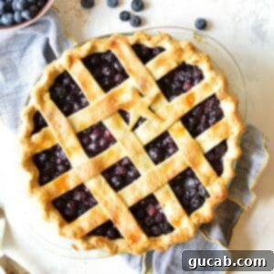 A beautifully golden baked gluten-free blueberry pie with an intricate lattice top, ready to be served.