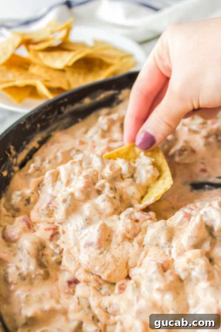 a chip dipped into creamy sausage dip