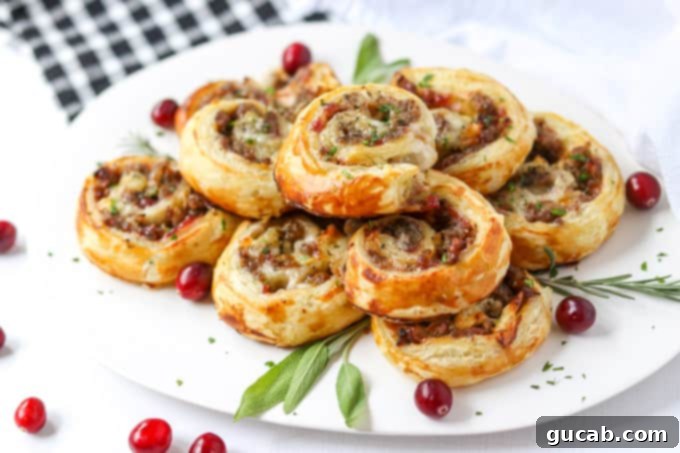 appetizer bites with sausage, cranberry, and brie cheese