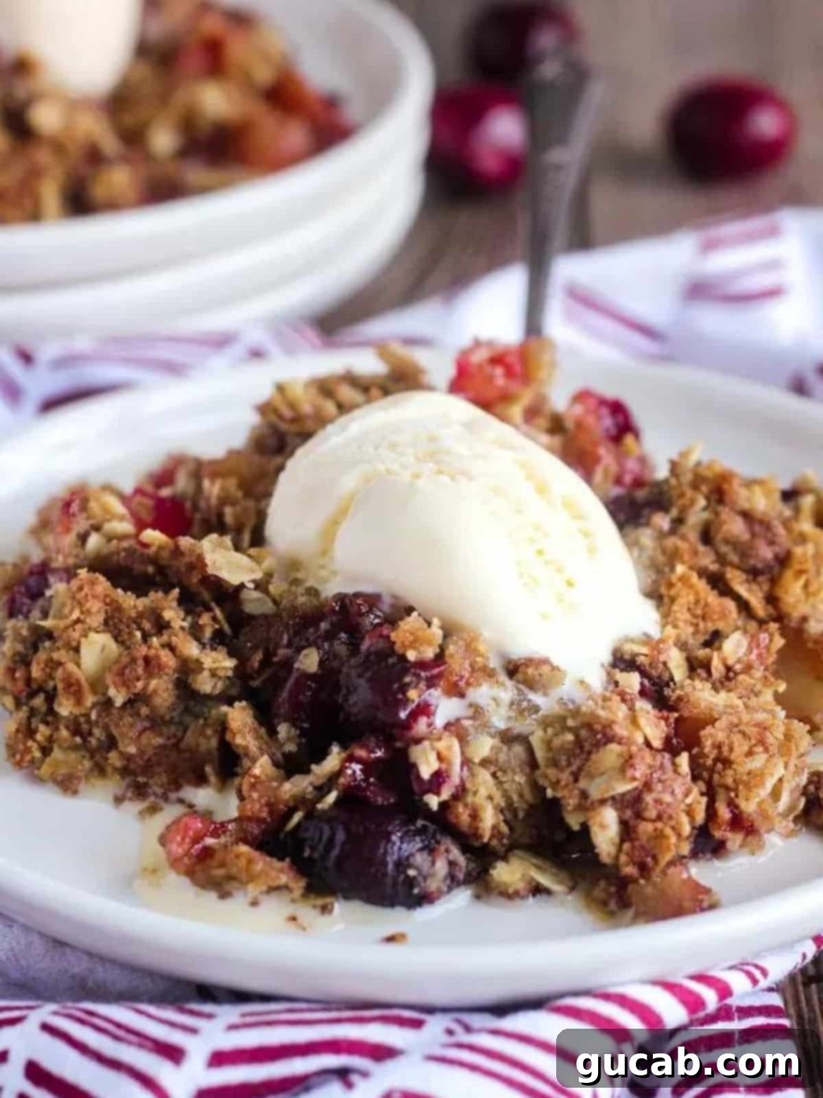 Beyond the Bowl: Creative Frozen Cherry Recipes 20 a cherry apple crisp with vanilla ice cream on top