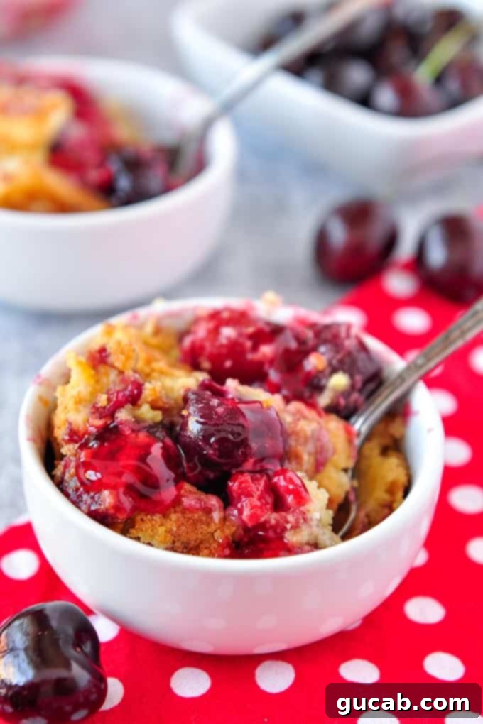 Beyond the Bowl: Creative Frozen Cherry Recipes 8 a bowl of cherry dump cake