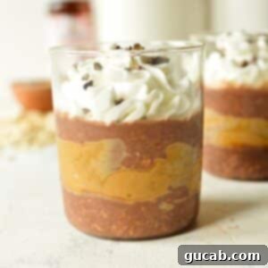 a glass of chocolate and peanut butter oats