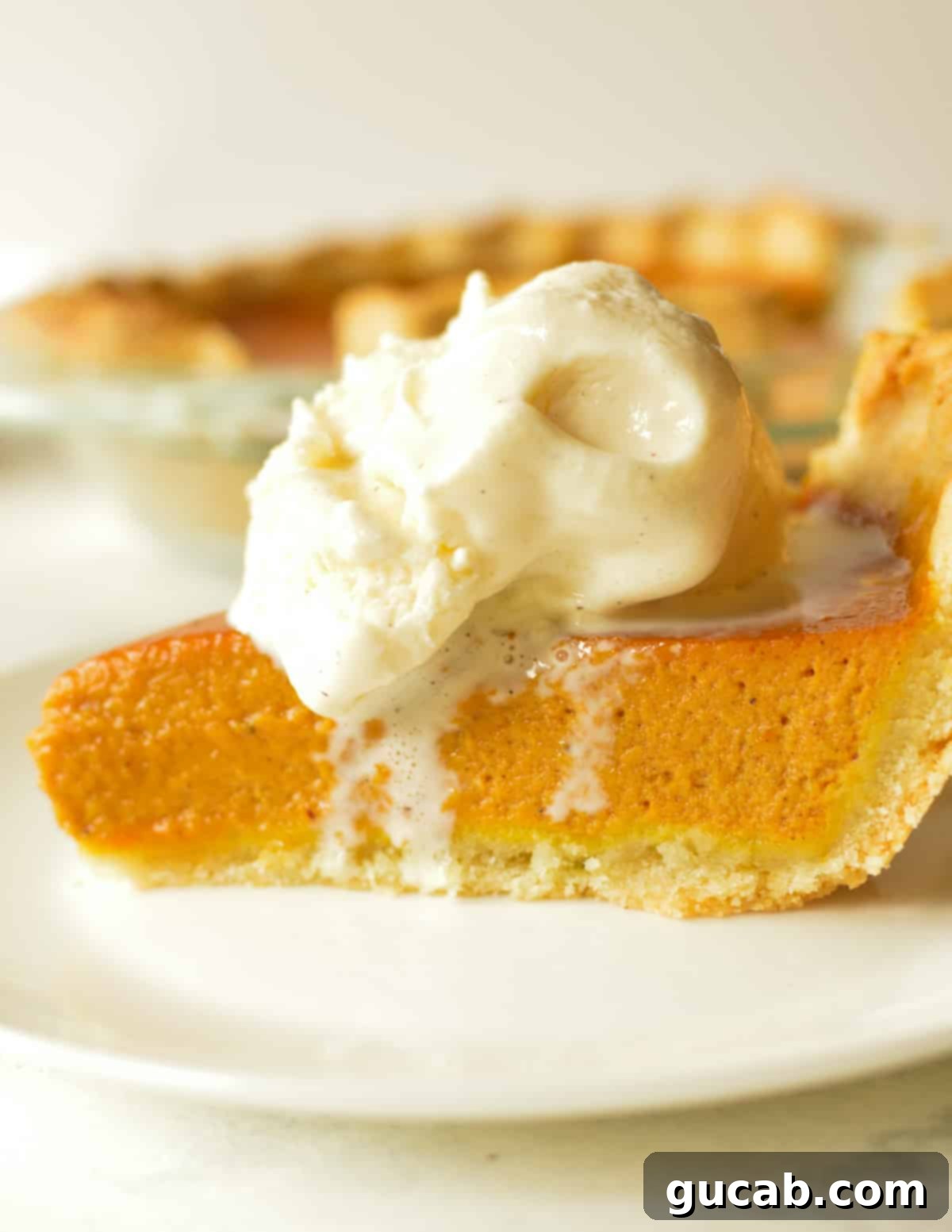 A delectable slice of pumpkin pie topped with a scoop of vanilla ice cream, ready to be enjoyed.
