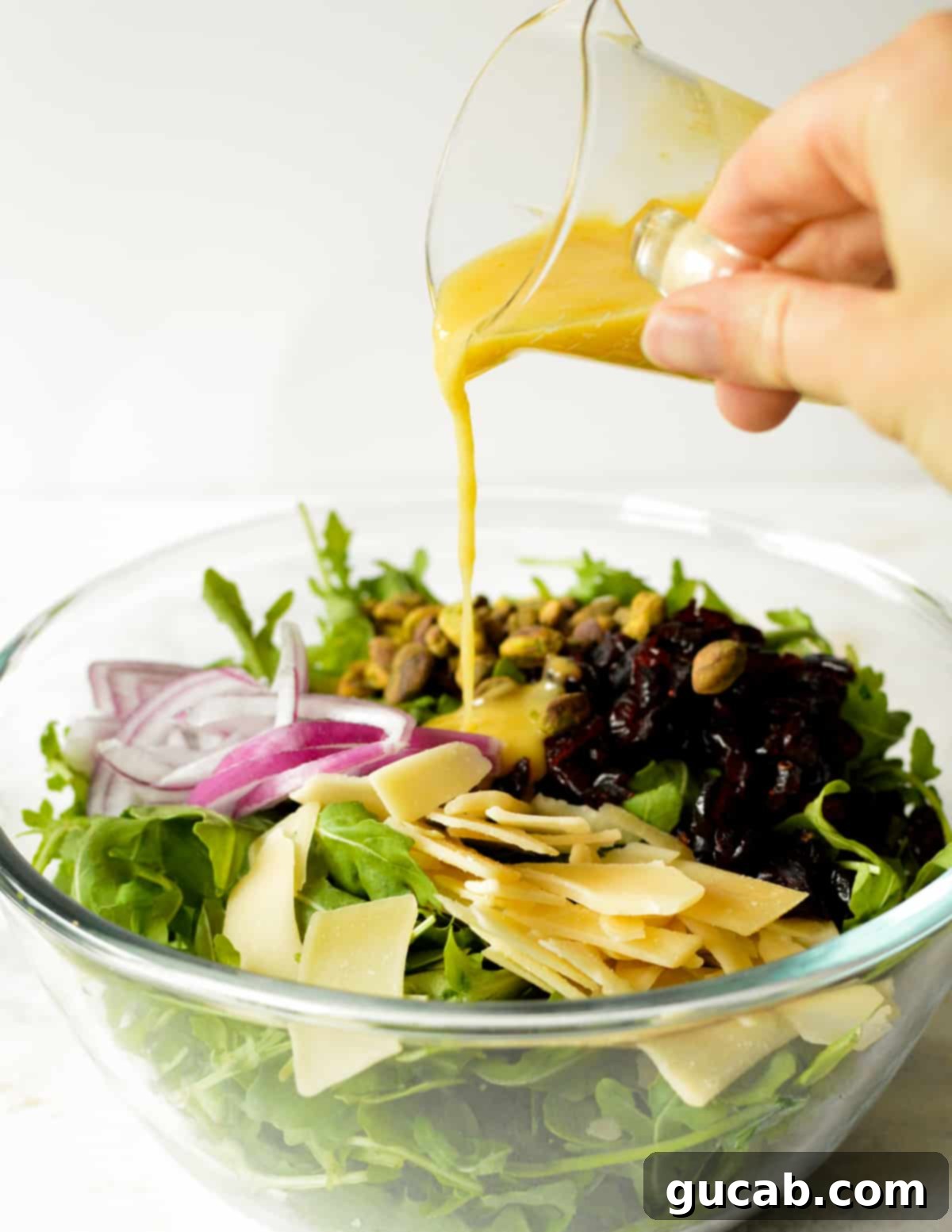 Fresh rocket greens with vibrant cranberries, thinly sliced red onion, shaved parmesan, and a drizzle of lemon vinaigrette