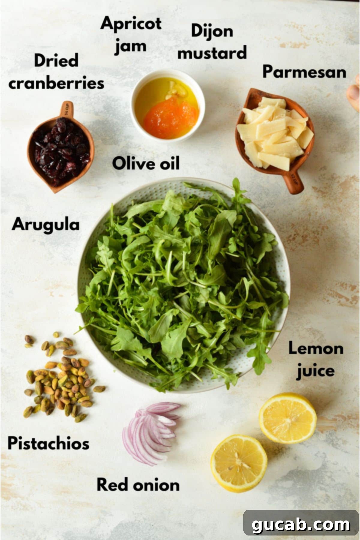 arugula, parmesan, dried cranberries, red onion