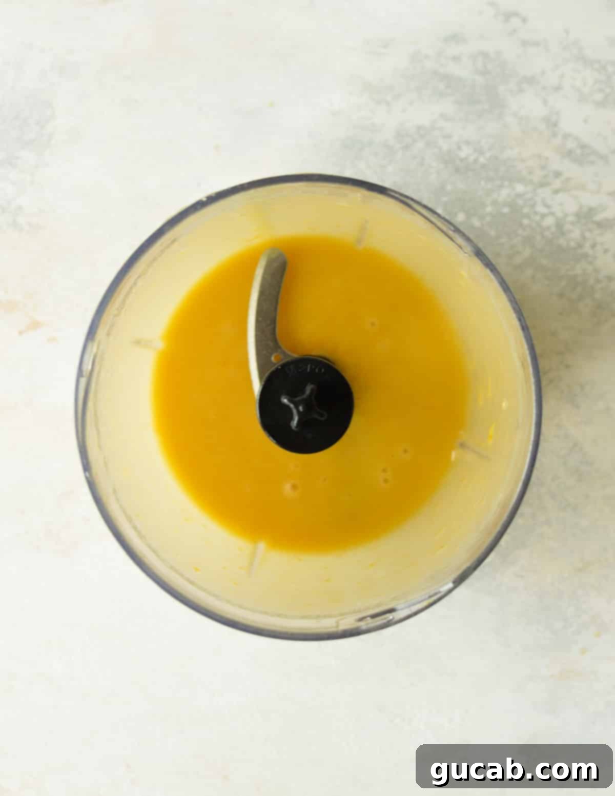 Mini food processor with creamy lemon apricot vinaigrette