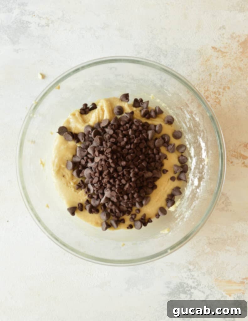 The bowl with cookie dough formed, before the chocolate chips are added.