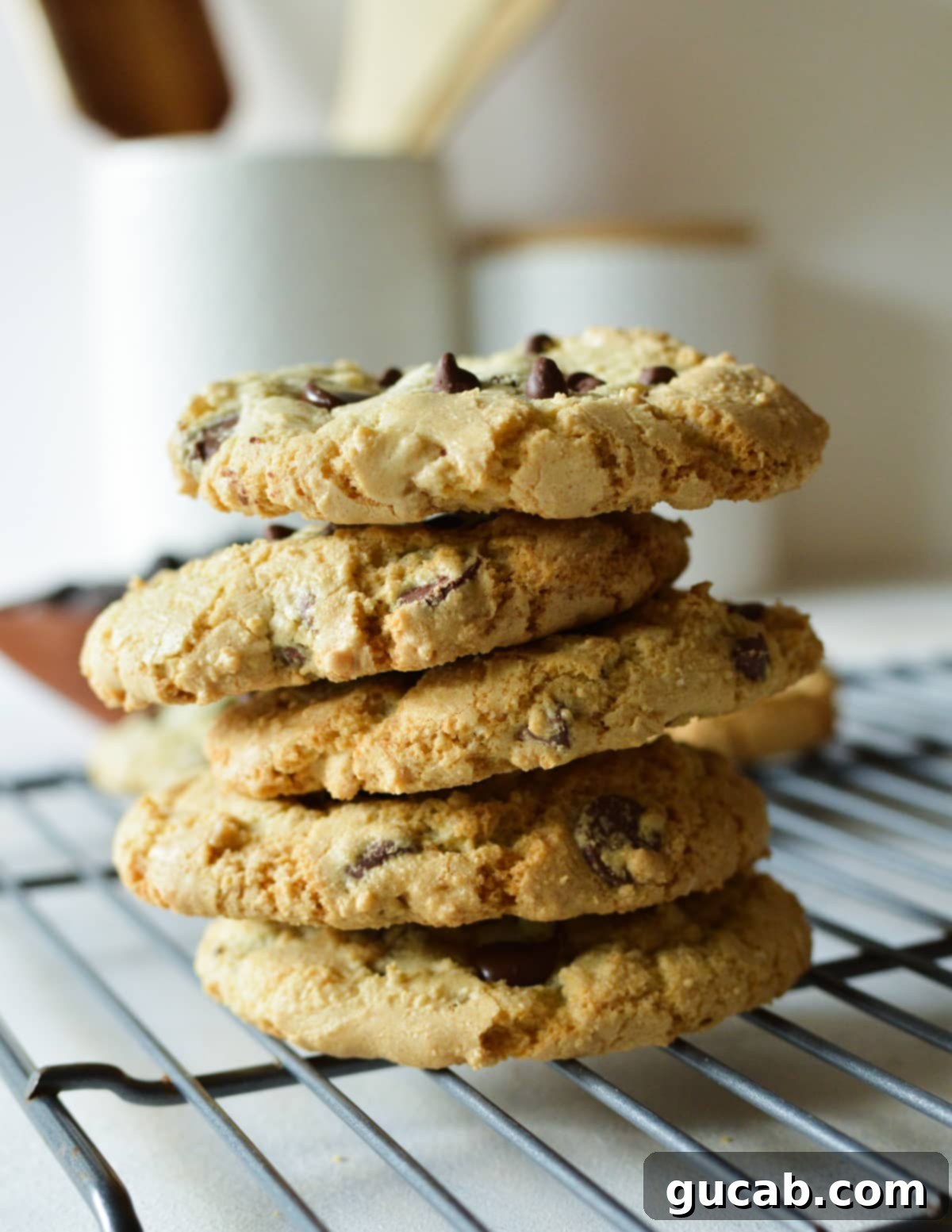 a stack of chocolate chip cookies