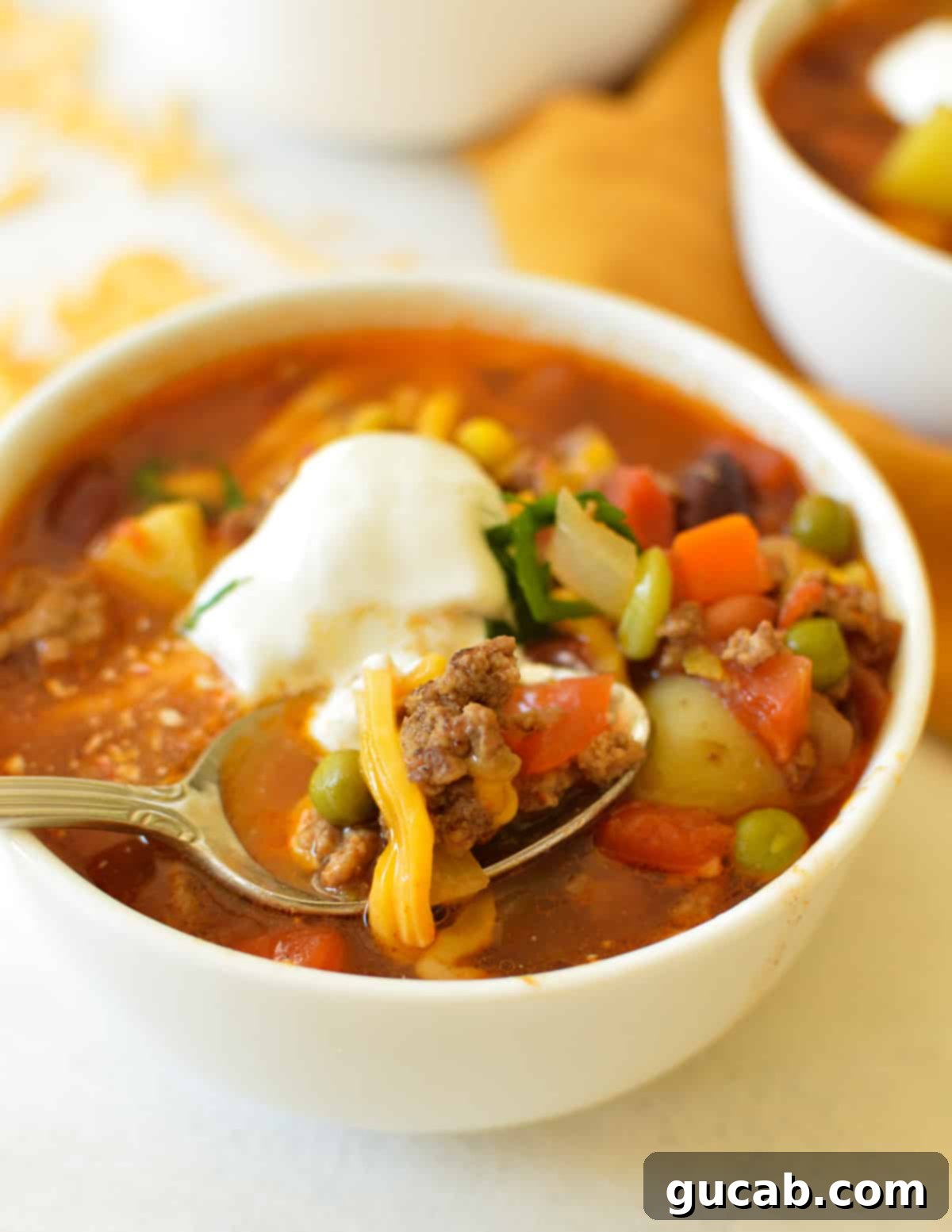 Ranch Hand's Robust Stew 6 a spoonful of soup over a bowl of vegetable beef soup