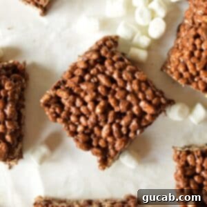 A delicious single serving of chocolate protein rice crispy treat, showcasing its texture.