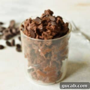 Chocolate Protein Cookie Dough 9 a cup full of chocolate protein cookie dough