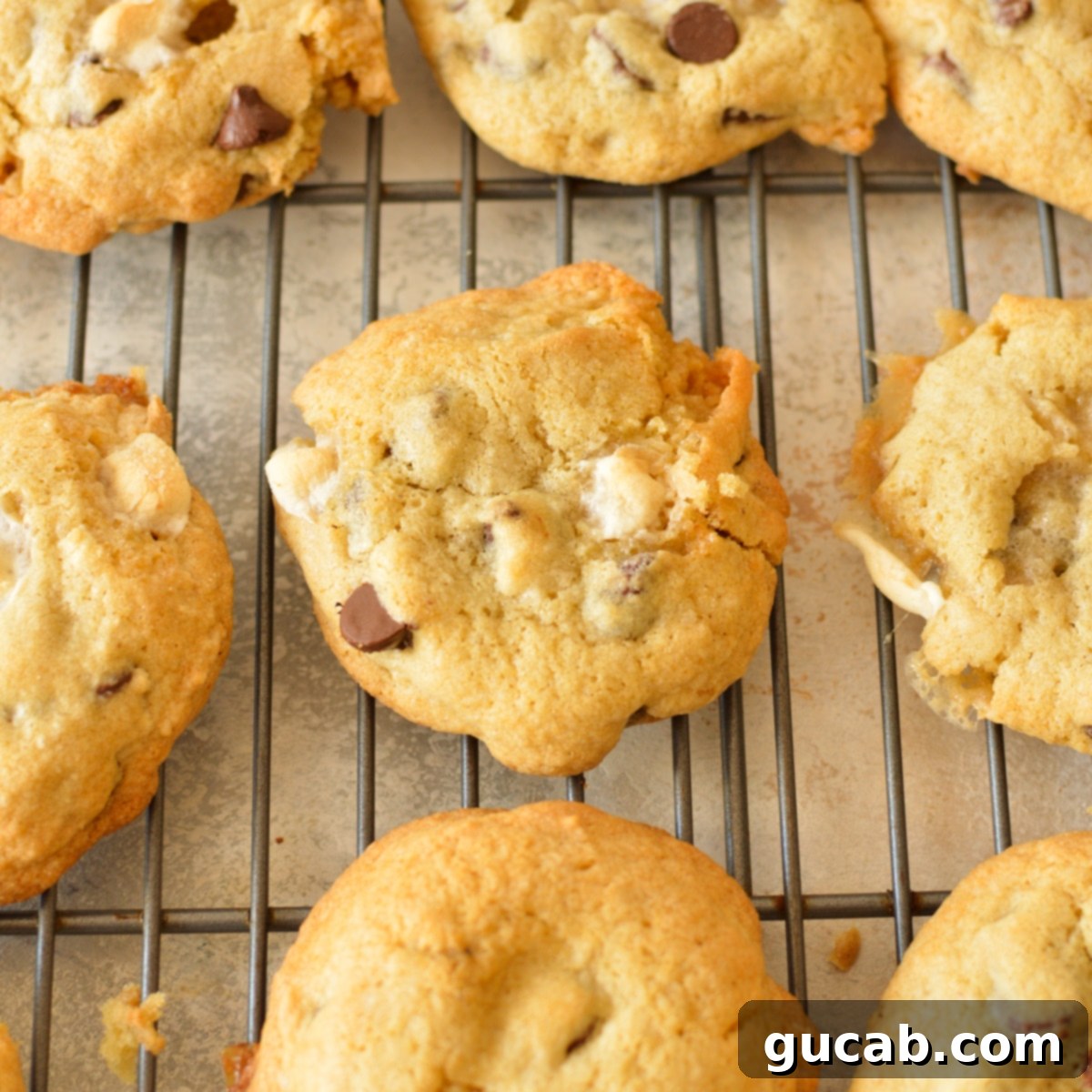 freshly baked chocolate chip marshmallow cookies cooling on a wire rack