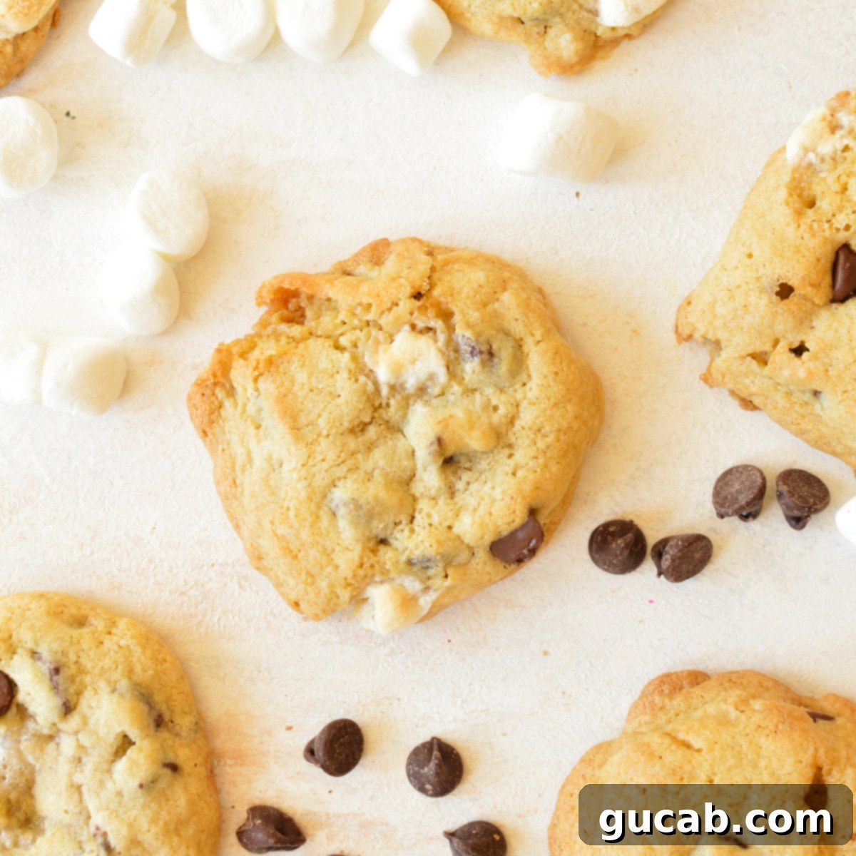 chocolate chip marshmallow cookies displayed on a kitchen counter, showcasing their golden-brown exterior and delicious fillings