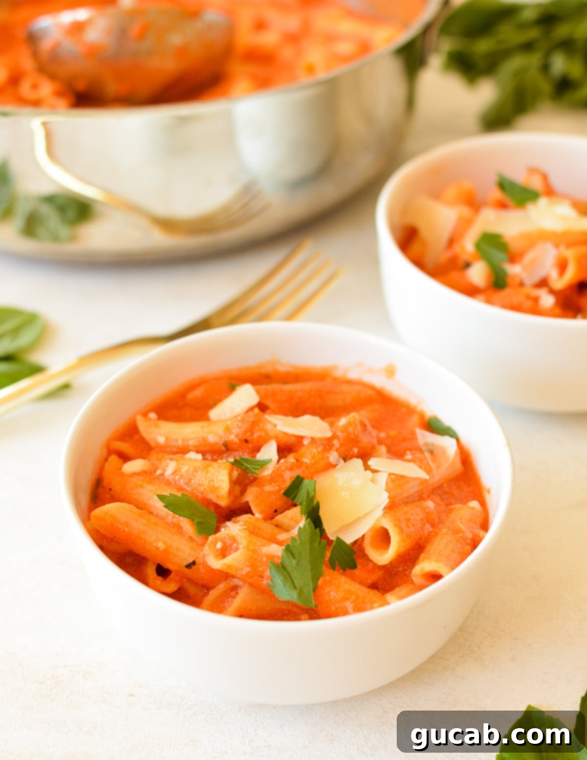 Rose Pasta 2 A perfectly plated bowl of pink sauce pasta, adorned with fresh basil and a sprinkle of Parmesan cheese.