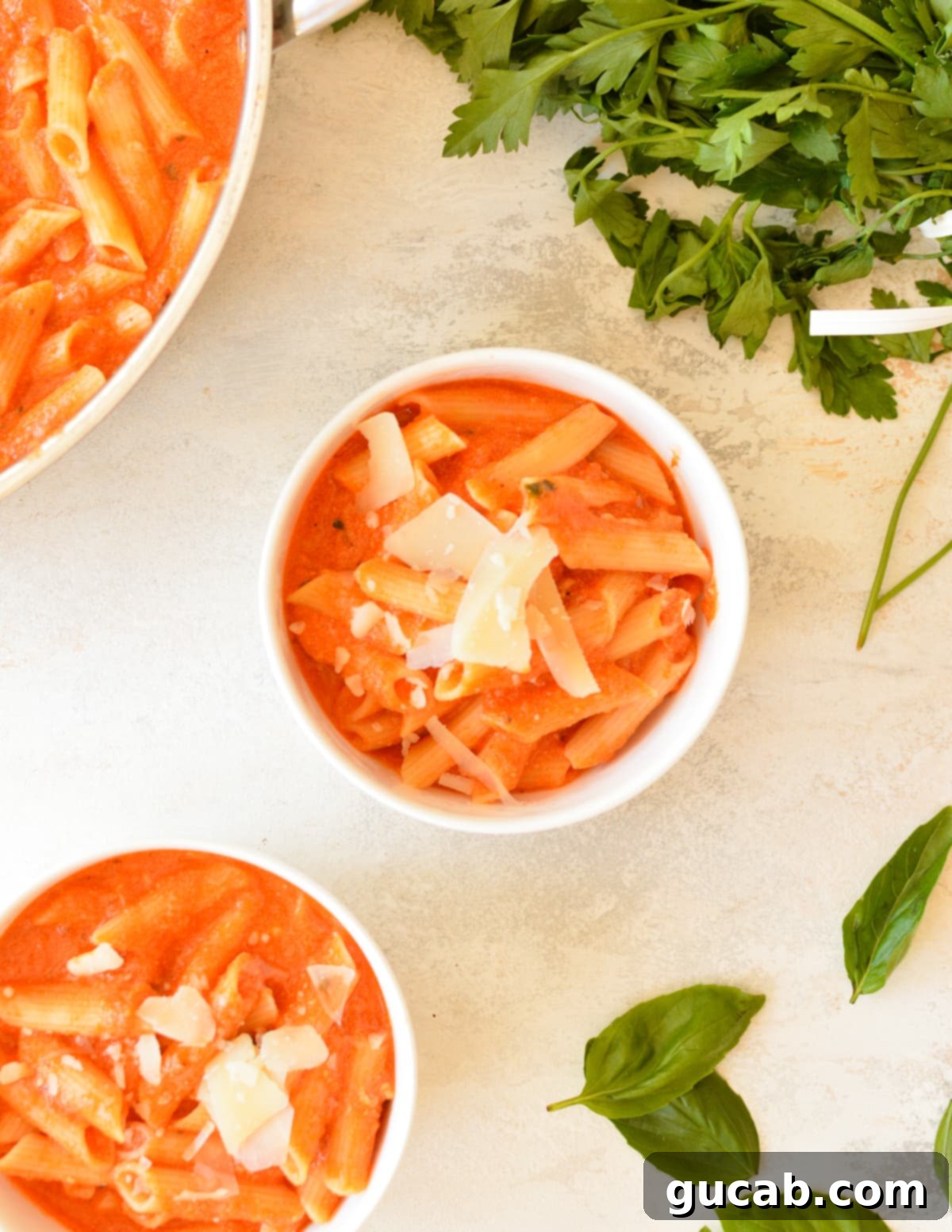 Rose Pasta 10 Two inviting bowls of pink sauce pasta, garnished with fresh basil and generous shavings of Parmesan cheese.