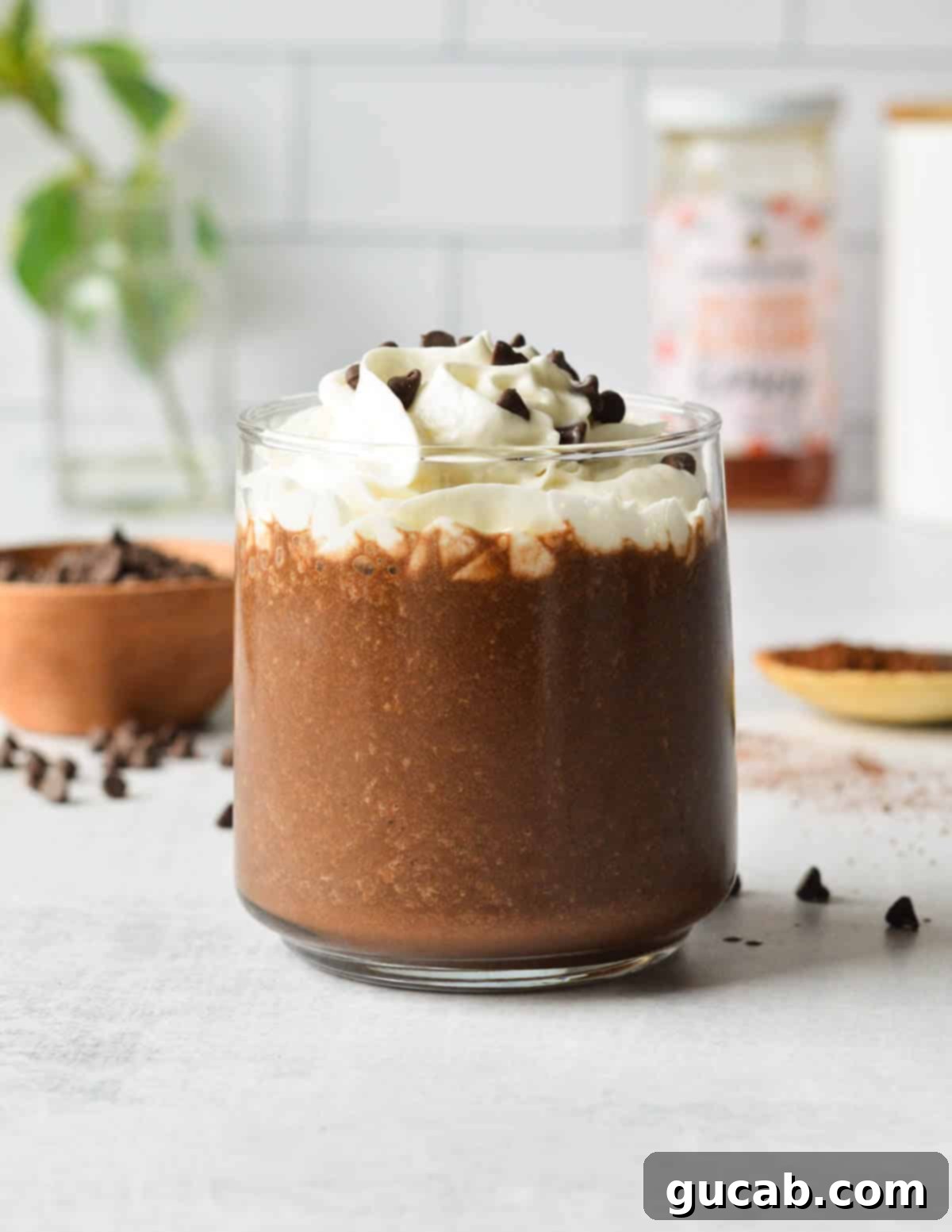 Decadent Chocolate Coffee Smoothie 2 coffee smoothie with whipped cream and chocolate chips on top.