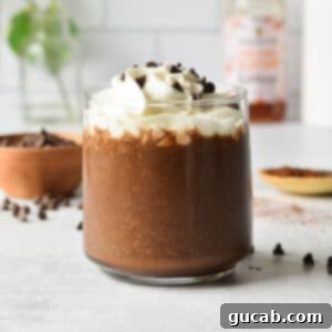Decadent Chocolate Coffee Smoothie 9 coffee smoothie with whipped cream and chocolate chips.