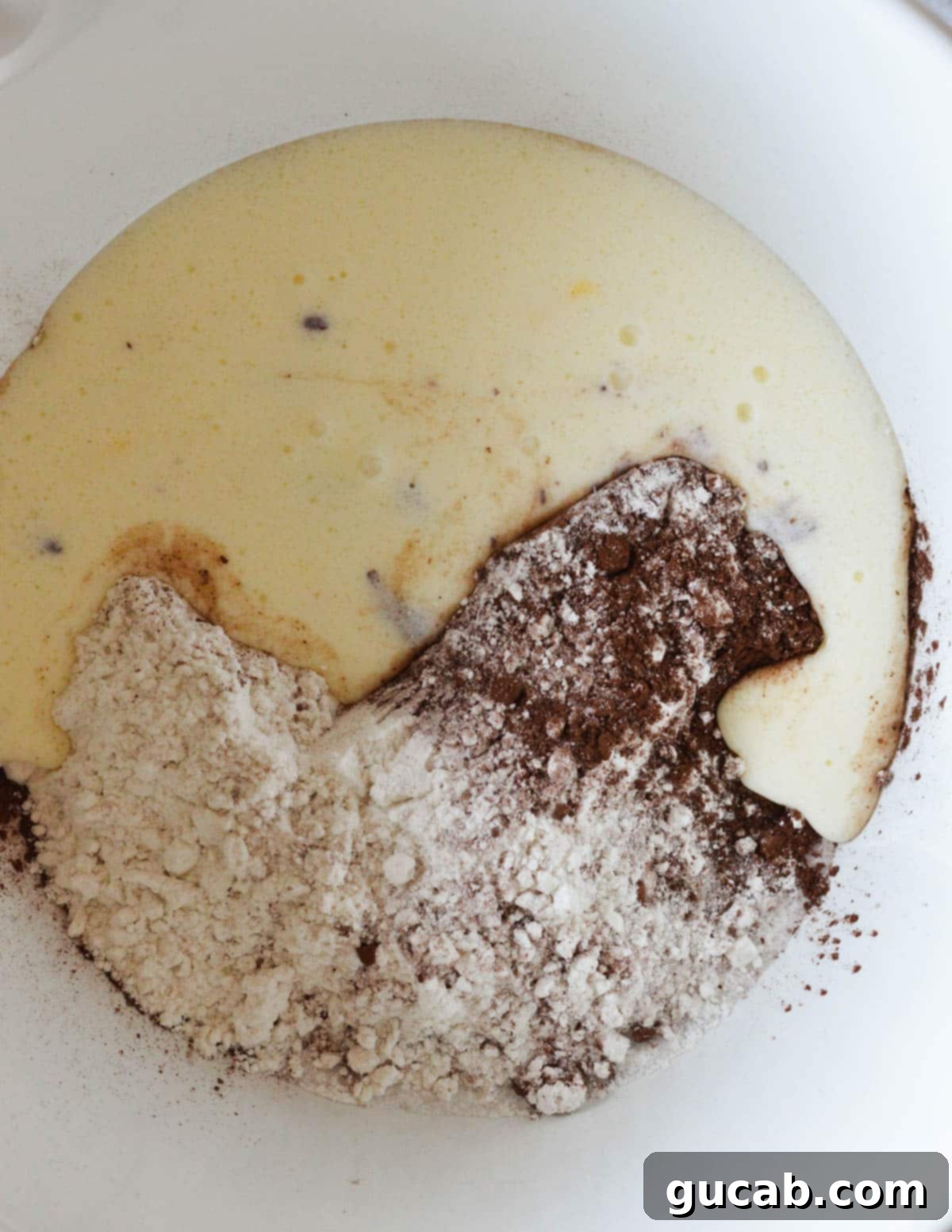 Guilt-Free Chocolate Pancake Indulgence 6 A bowl with gluten-free flour, cocoa powder, buttermilk, egg, and oil waiting to be mixed, illustrating the initial stage of combining wet and dry ingredients.
