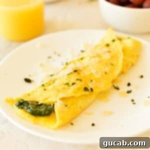 spinach omelette on a plate