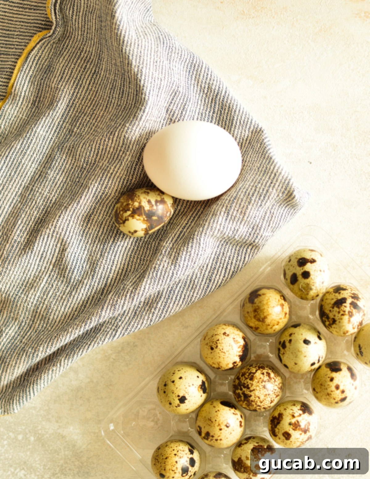 a chicken egg next to quail eggs
