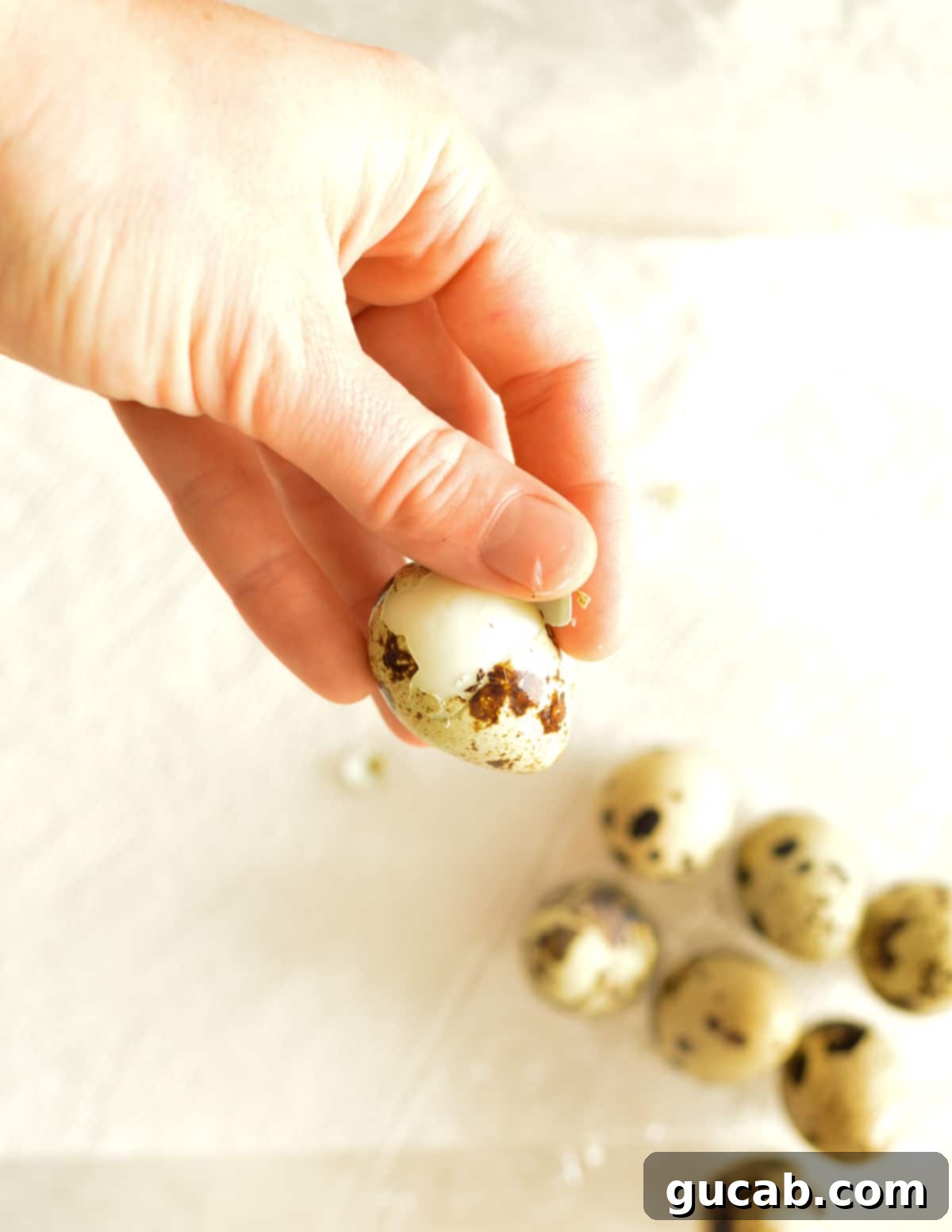 A skilled hand carefully piercing the shell of a cooked quail egg with a small paring knife, an essential step for easy peeling.