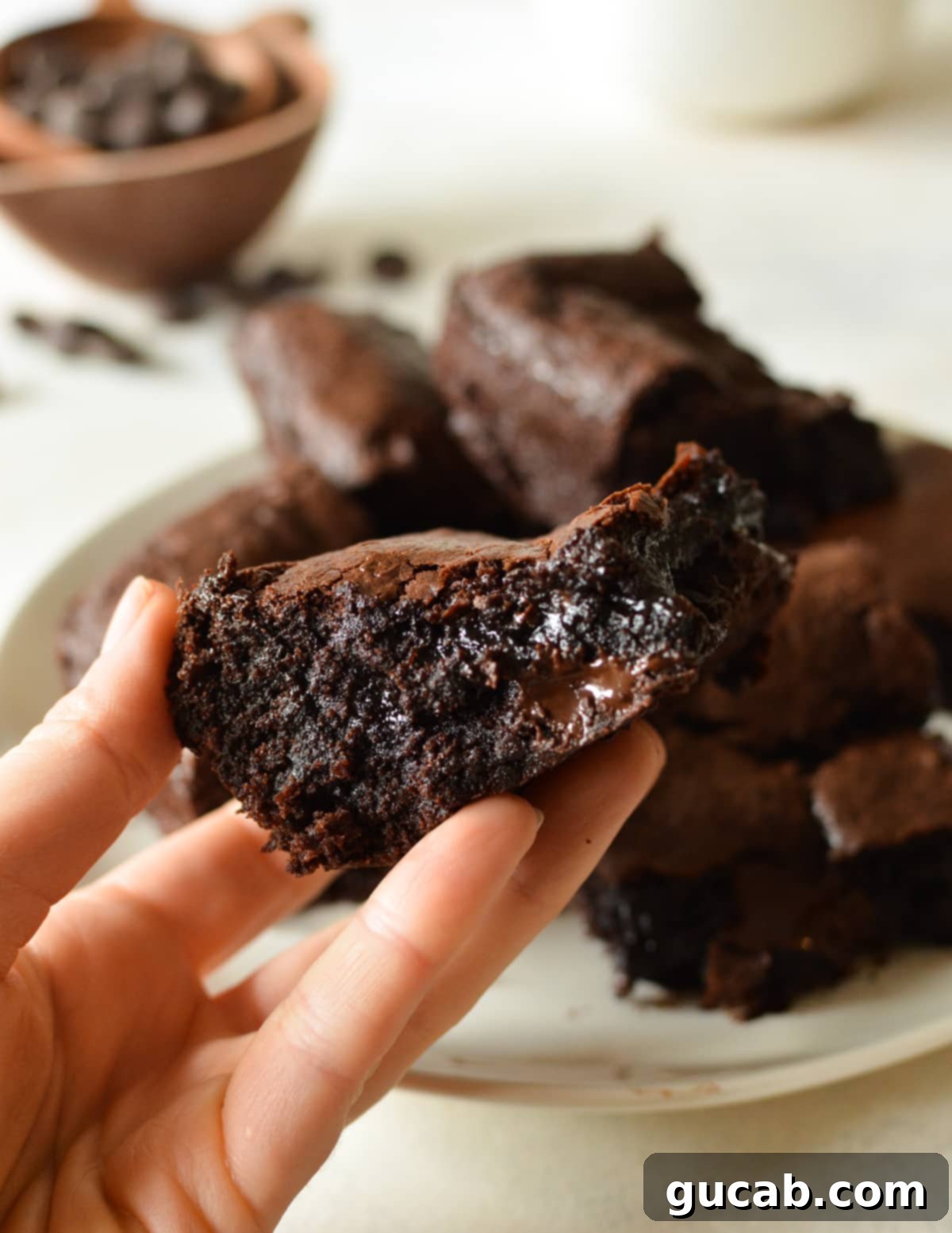 Fudgy Condensed Milk Brownies 2 A hand holding a perfectly fudgy sweetened condensed milk brownie with melted chocolate chips