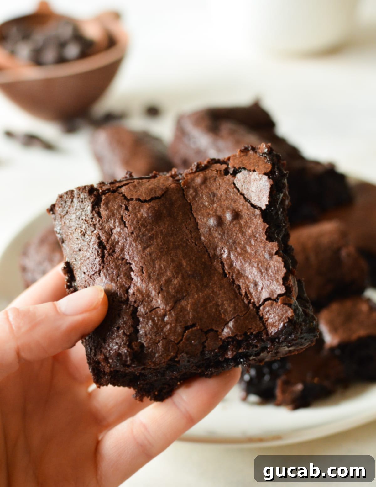 Fudgy Condensed Milk Brownies 9 A hand holding a perfectly cut, fudgy sweetened condensed milk brownie with visible chocolate chips.