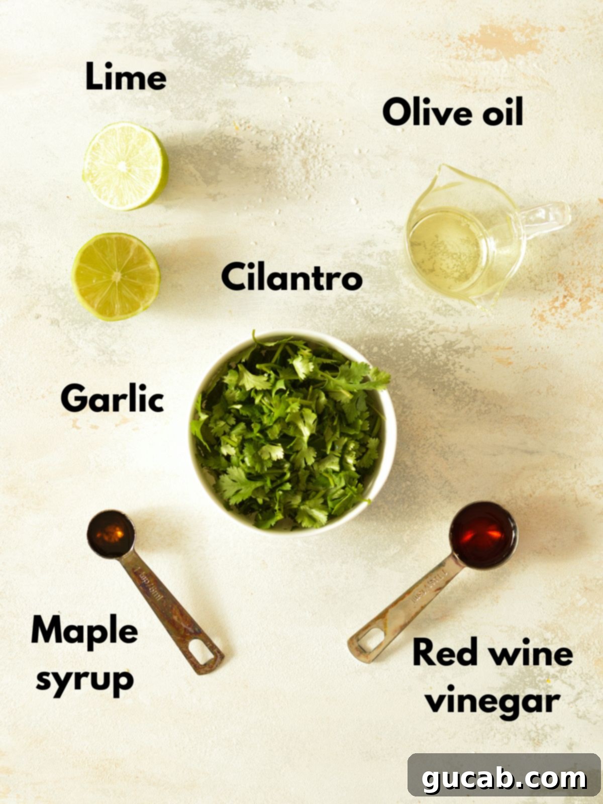 Ingredients for the fresh cilantro vinaigrette.