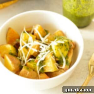 A bowl of roasted honey gold potatoes with a generous drizzle of cilantro vinaigrette.