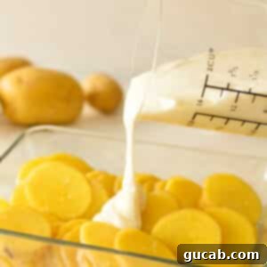pouring bechamel over potatoes, showcasing its creamy texture