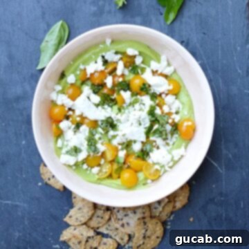 creamy avocado dip