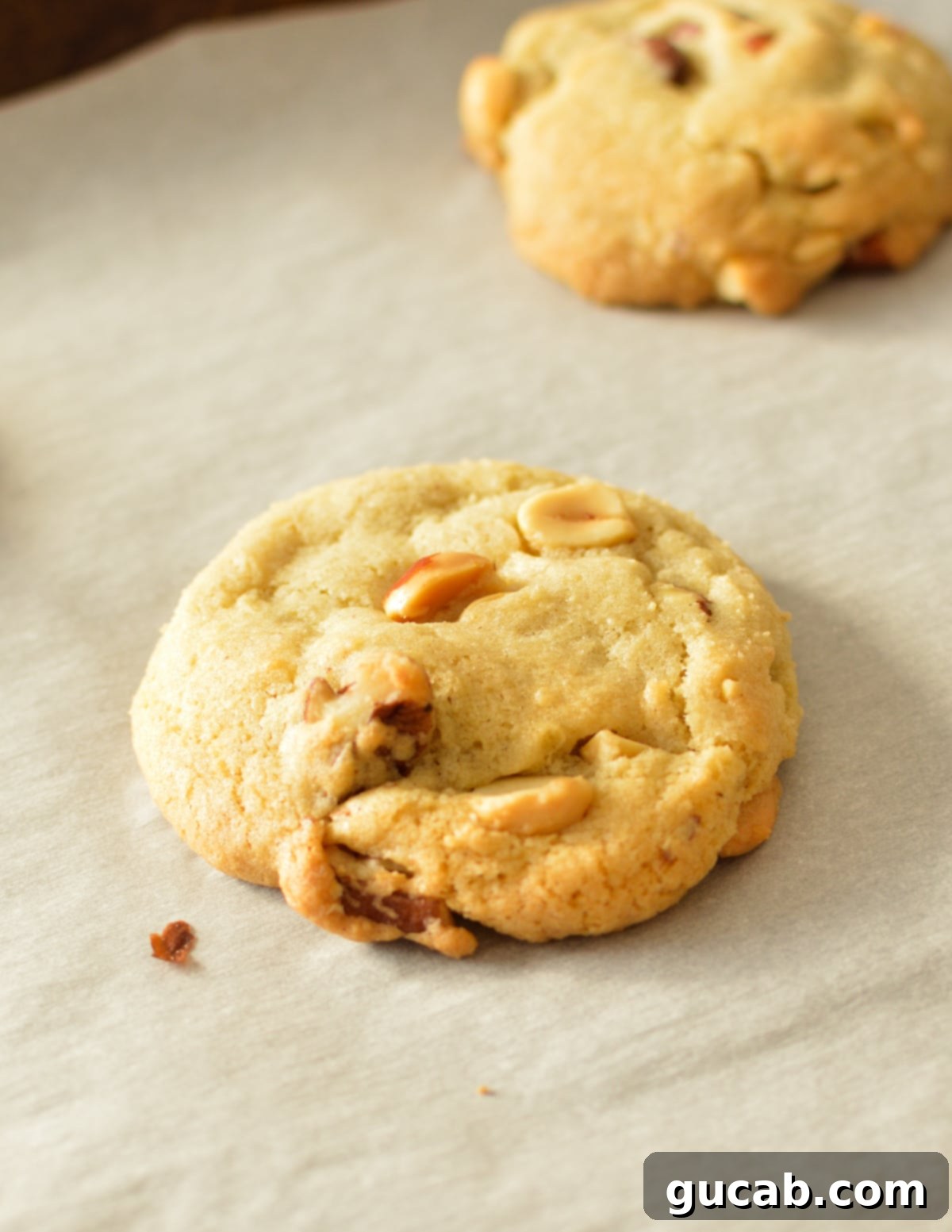 A perfectly baked chewy mixed nut cookie on a cooling rack, showcasing a variety of chopped nuts throughout its golden-brown surface.
