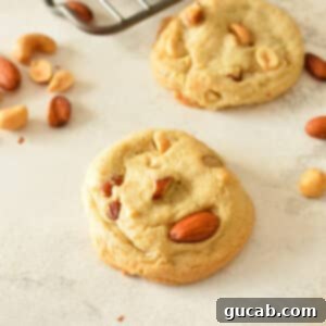 A close-up of a single mixed nut cookie with a perfect chew, showcasing its rich texture and an abundance of nuts.