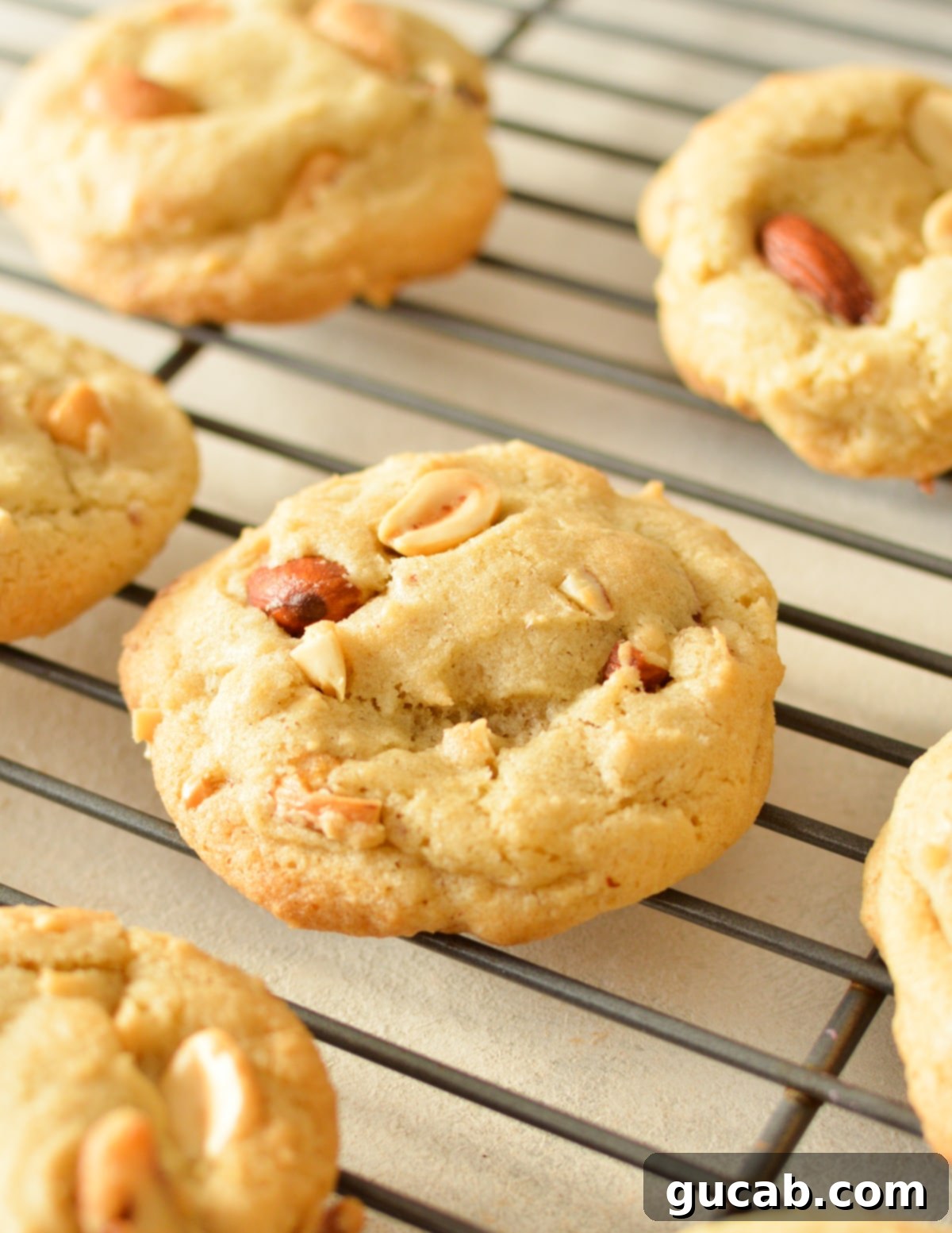 Freshly baked mixed nut cookies, still warm and slightly soft in the center, cooling on a wire rack after being removed from the oven.