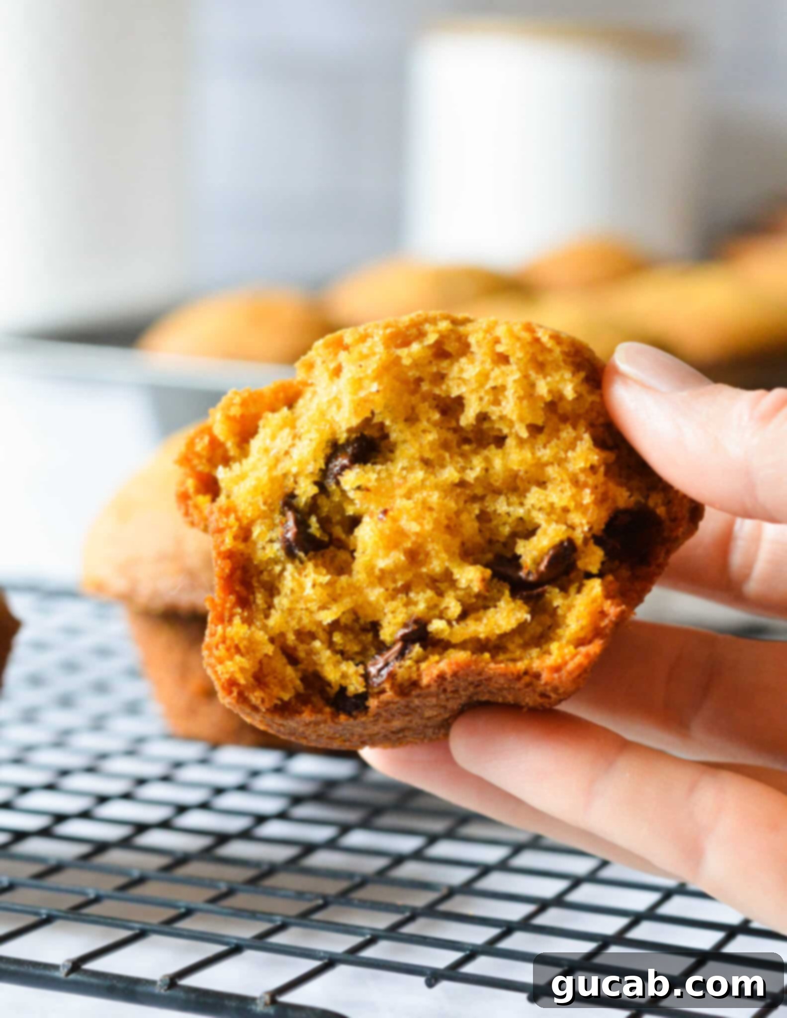 A hand holding a half-eaten gluten-free pumpkin muffin with visible melted chocolate chips and a moist, golden interior.