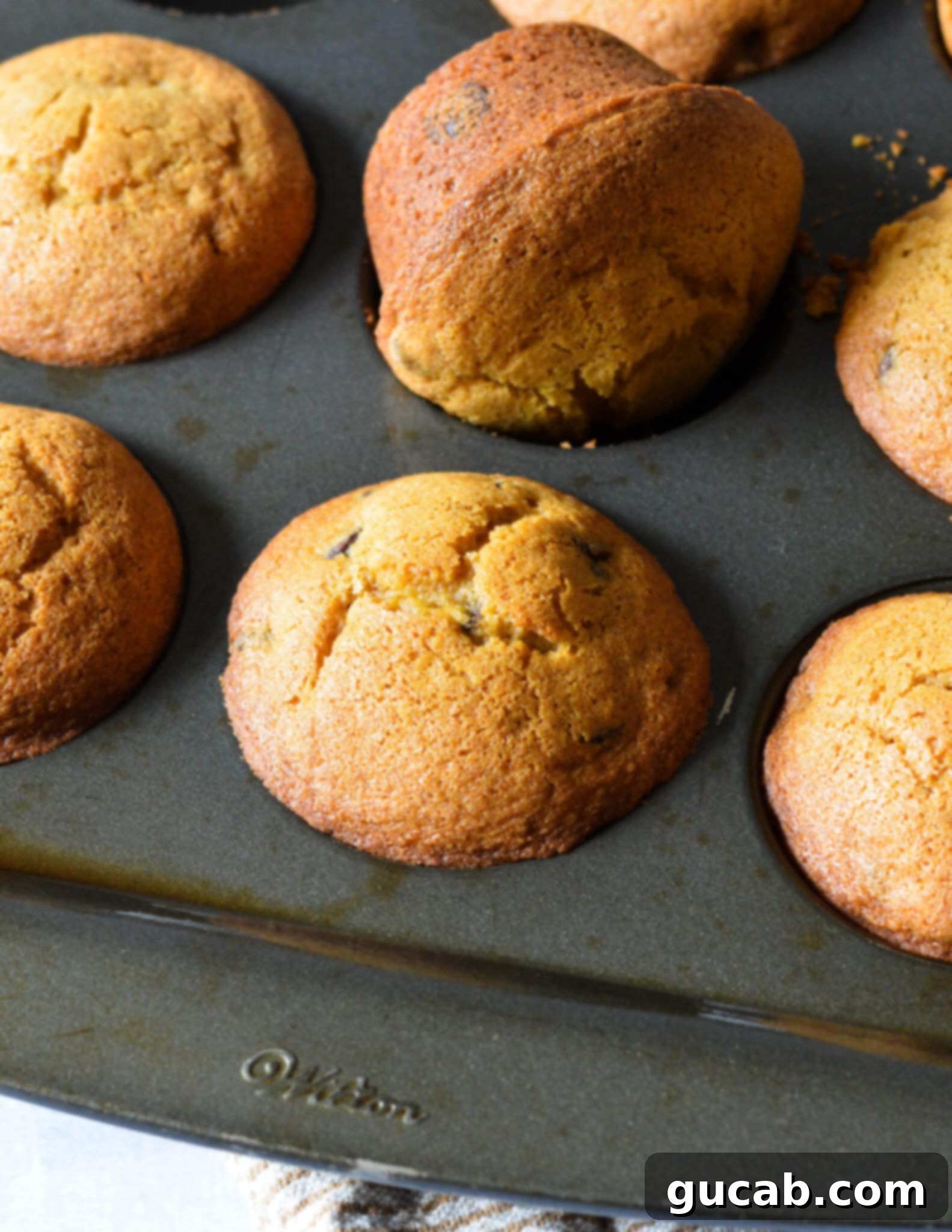 A close-up shot of a single gluten-free pumpkin muffin, turned on its side in a muffin tin, showcasing its soft texture, perfectly golden crust, and appealing dome.