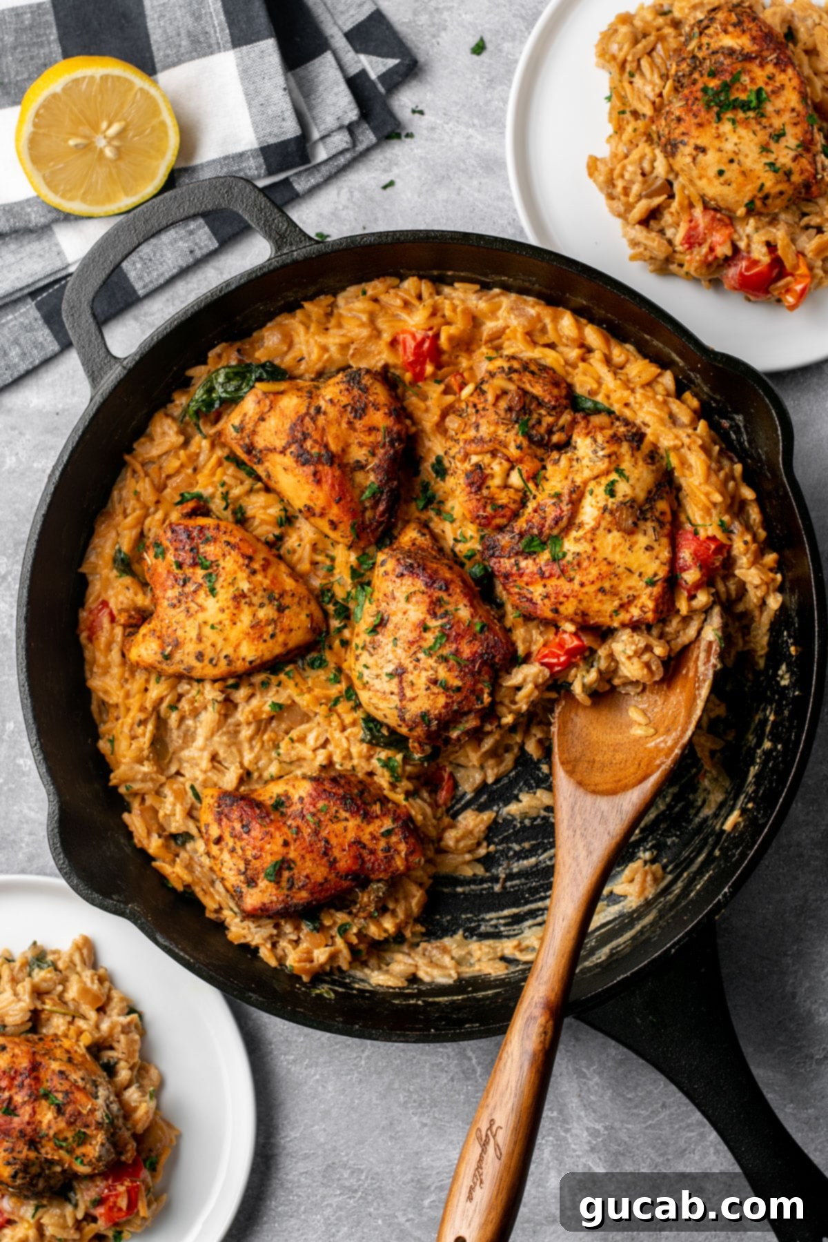 Budget-Friendly Feasts for a Crowd 18 A mouth-watering dairy-free Tuscan chicken skillet with orzo, featuring creamy chicken and pasta, sun-dried tomatoes, and spinach.